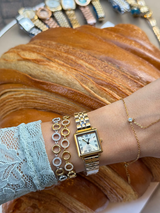 Paris Renaissance – Premium Stainless Steel Watch