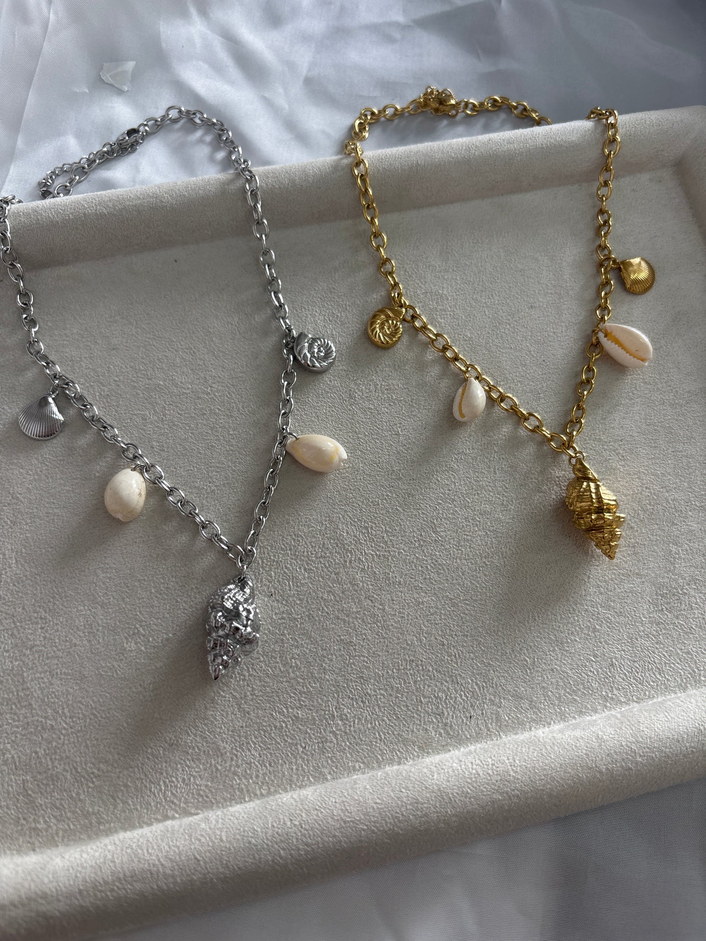 Shell charms