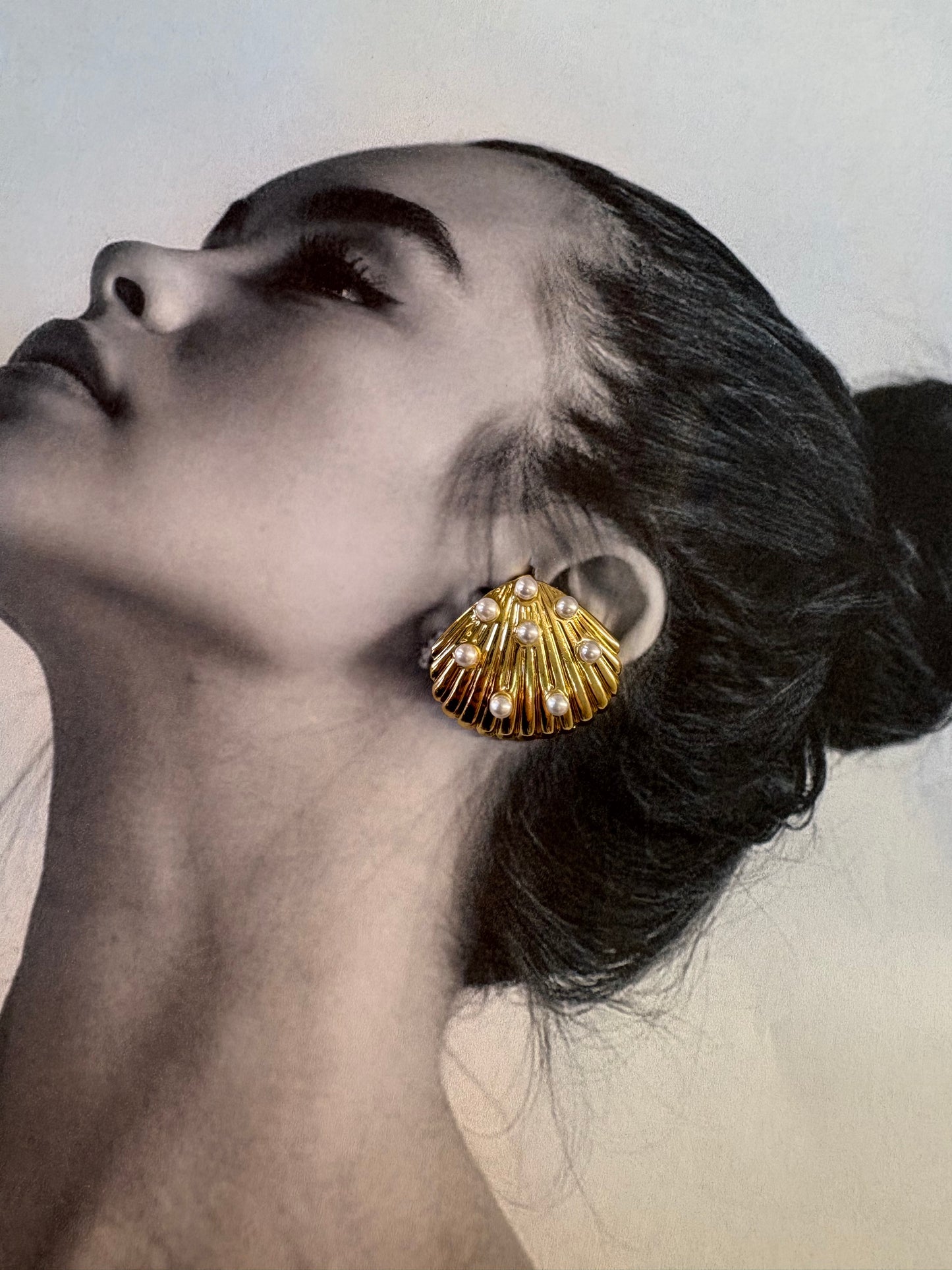 “Pearl shell