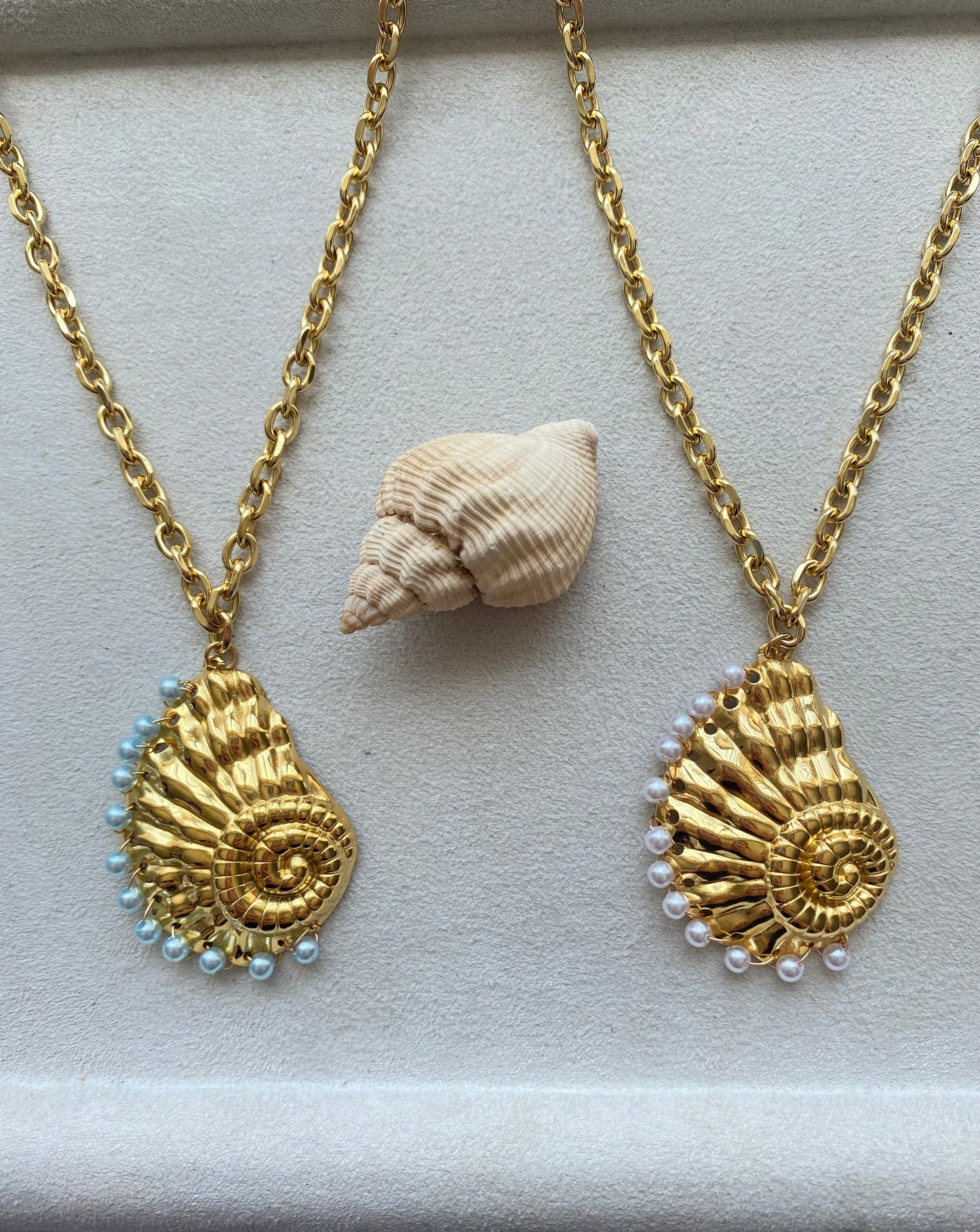 SIRENA SHELL