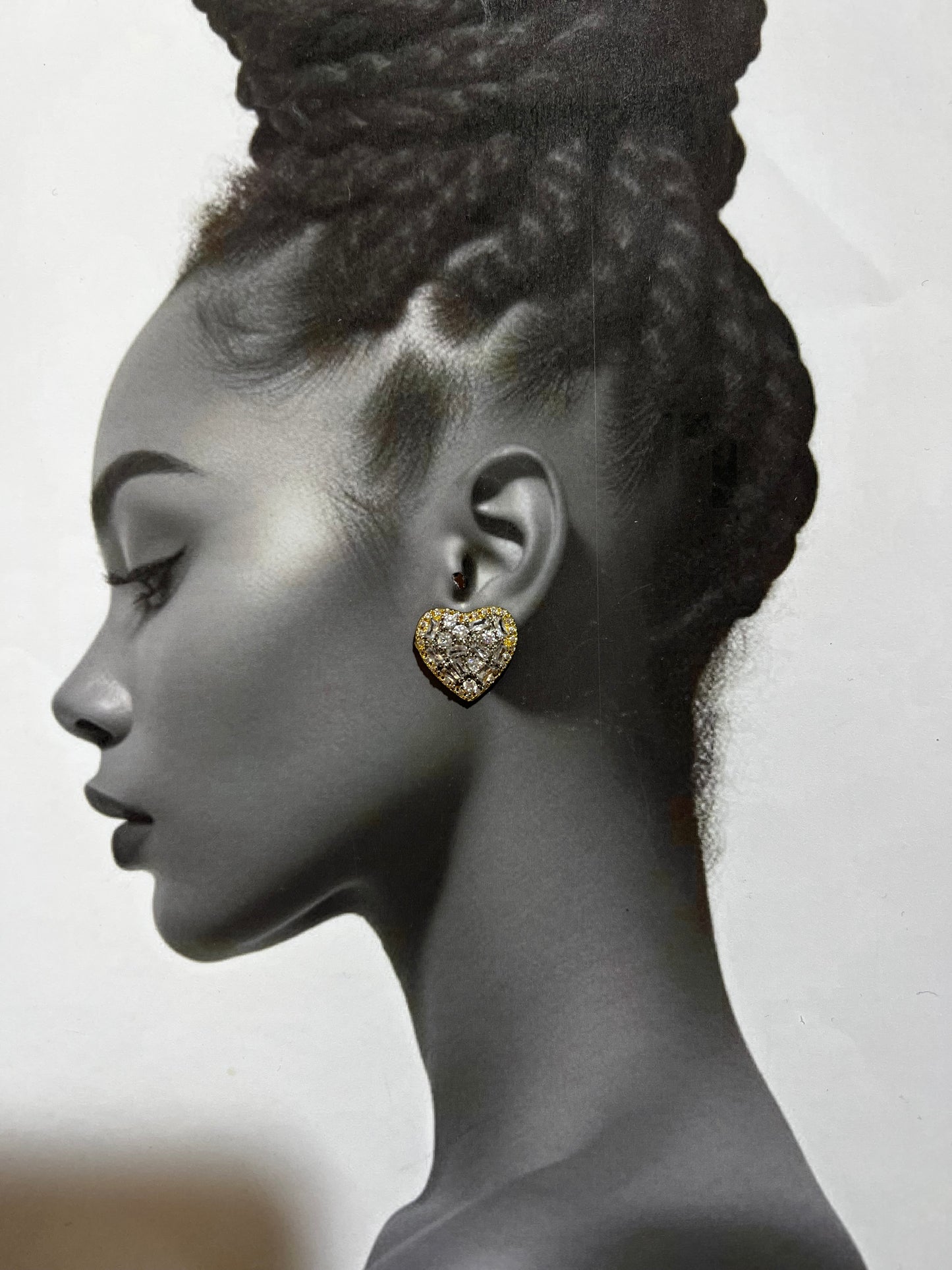 Lumière Heart – Σκουλαρίκια Stainless Steel