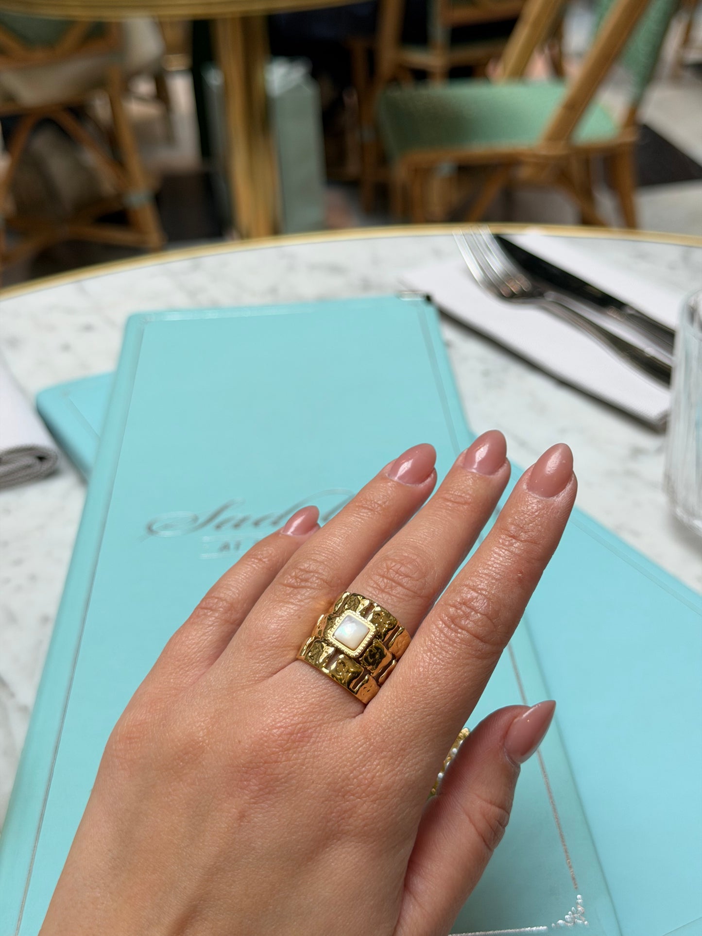 Paris Opulence Ατσάλινο Δαχτυλίδι- special Edition