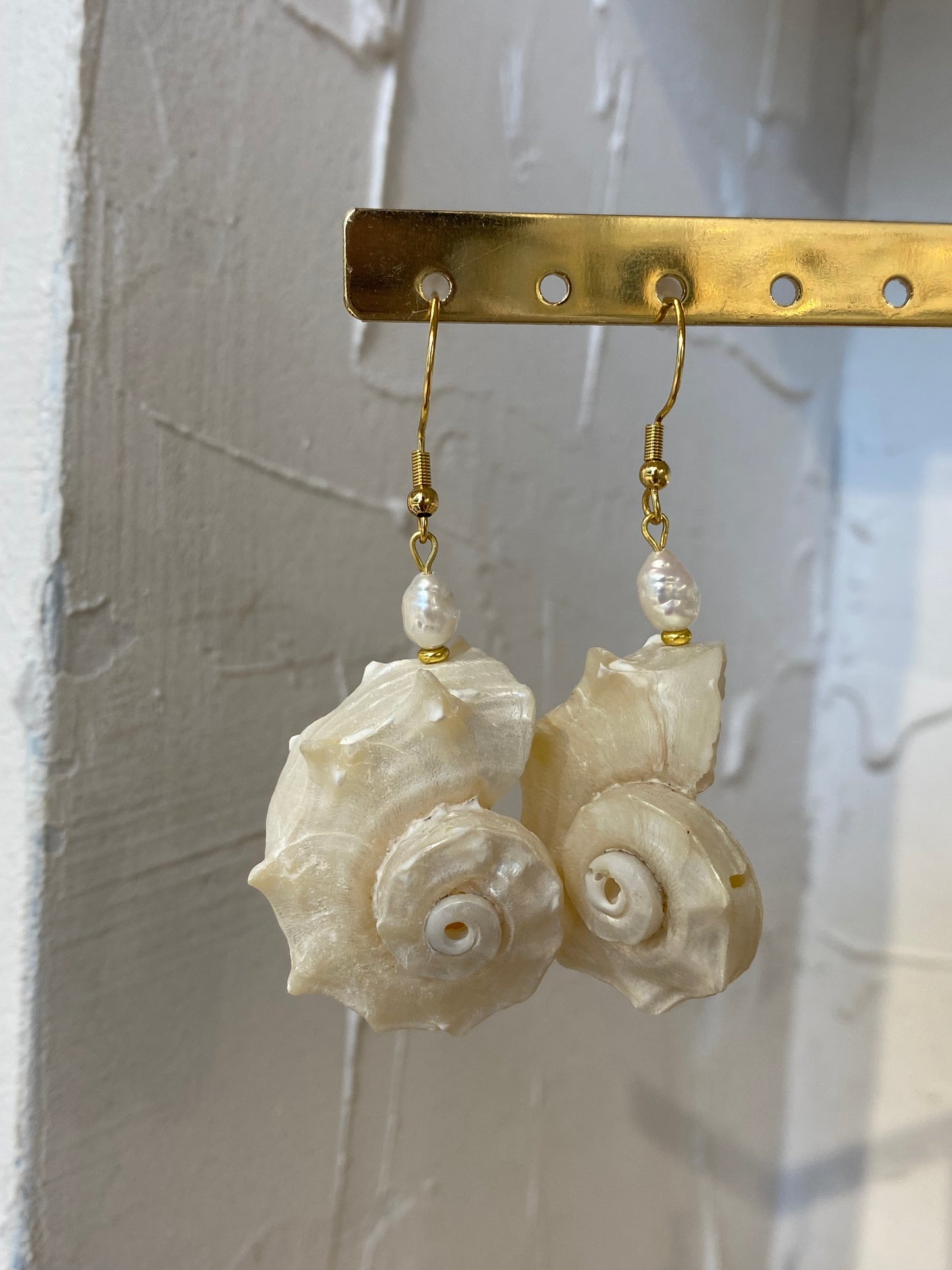 Aphrodite Shell Hoops- Stainless steel