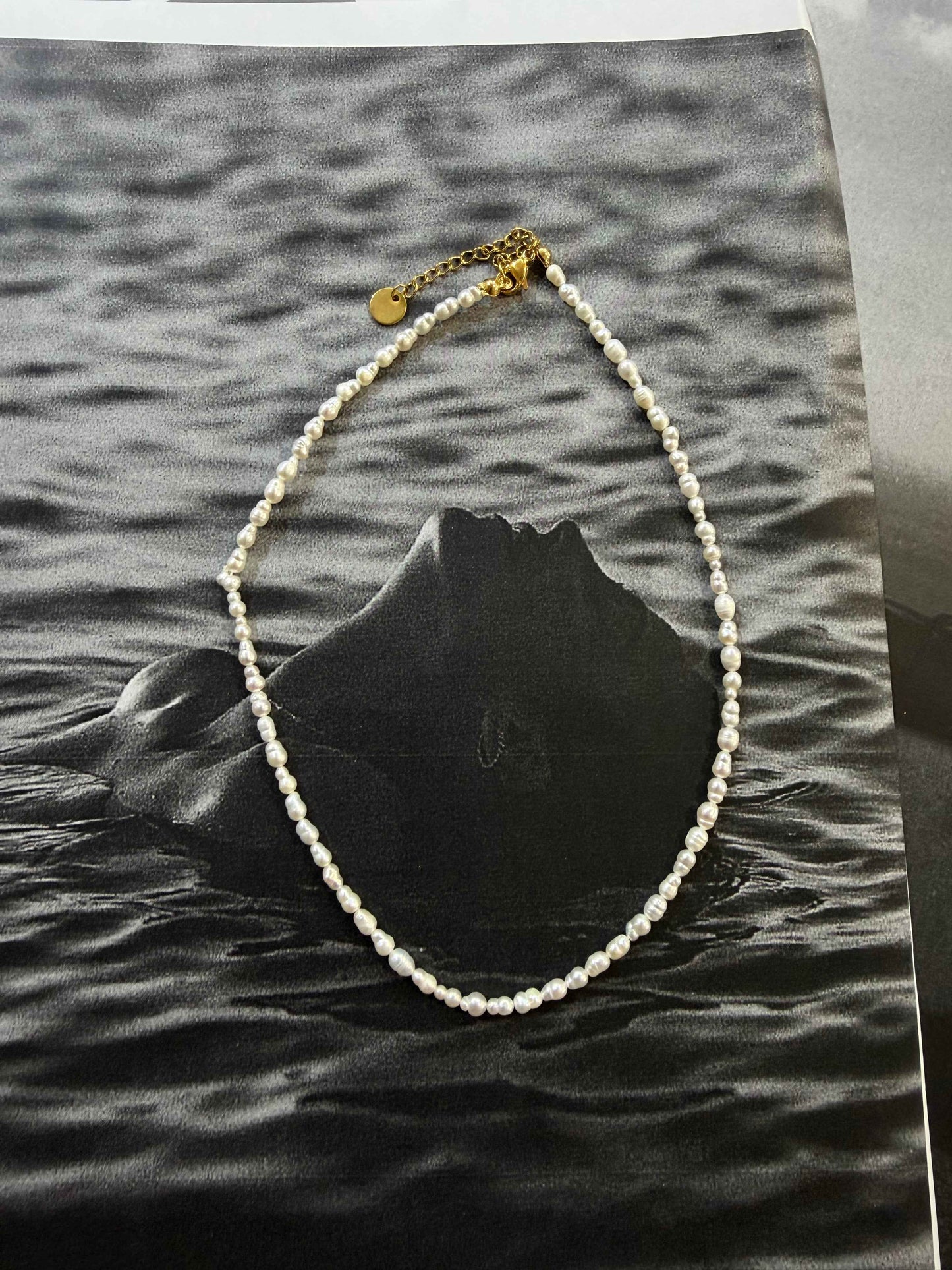 Pearl Mist 🤍
Αληθινά μαργαριτάρια ατσάλινο κολιέ ✨