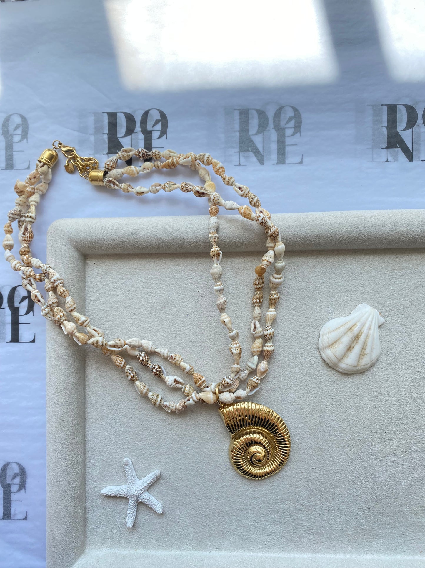 DUNE FOSSIL