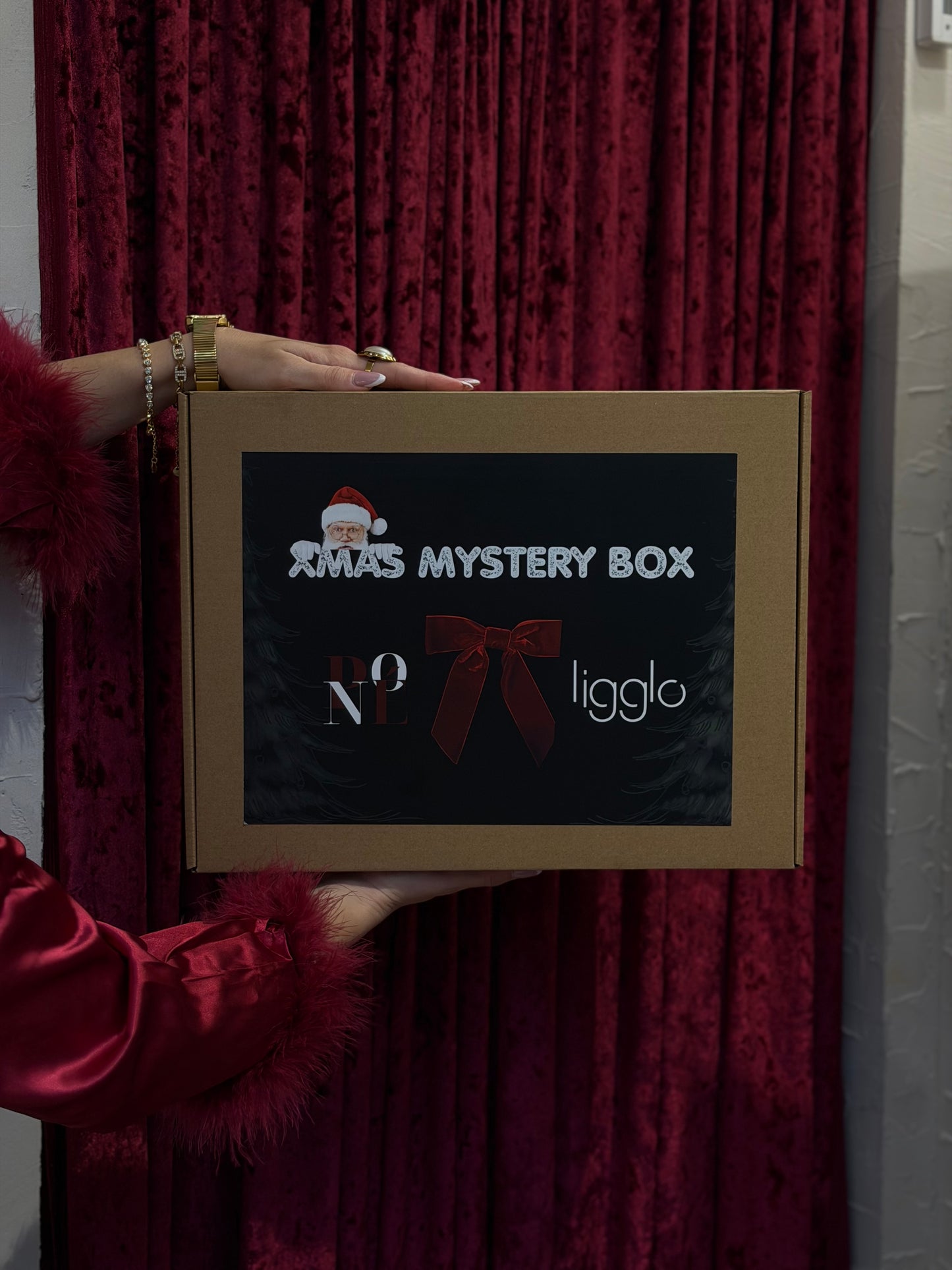 XMAS MYSTERY LIGGLO X PNOE
