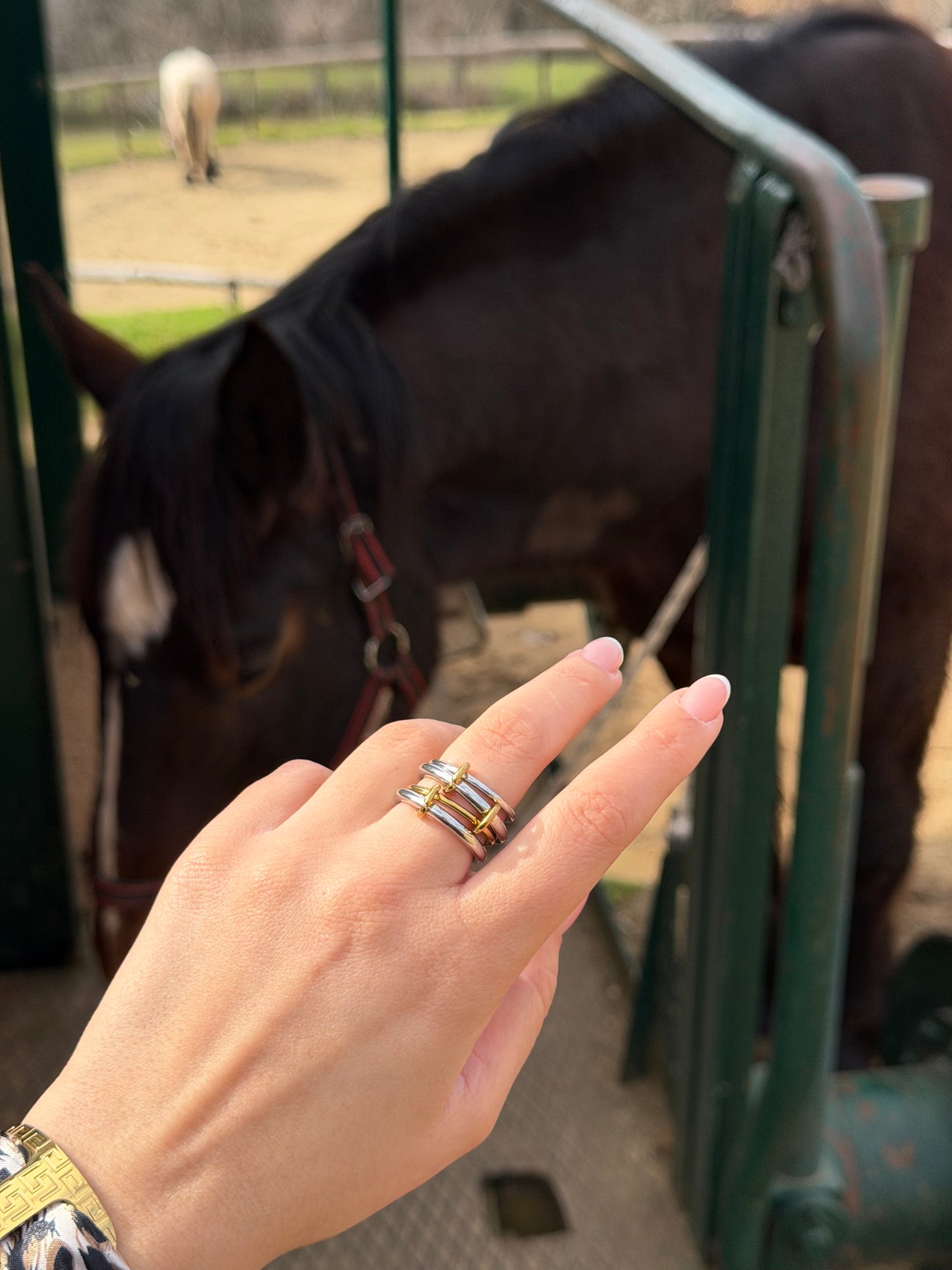 Steel Link Ring / Ανθεκτικό Ατσάλι