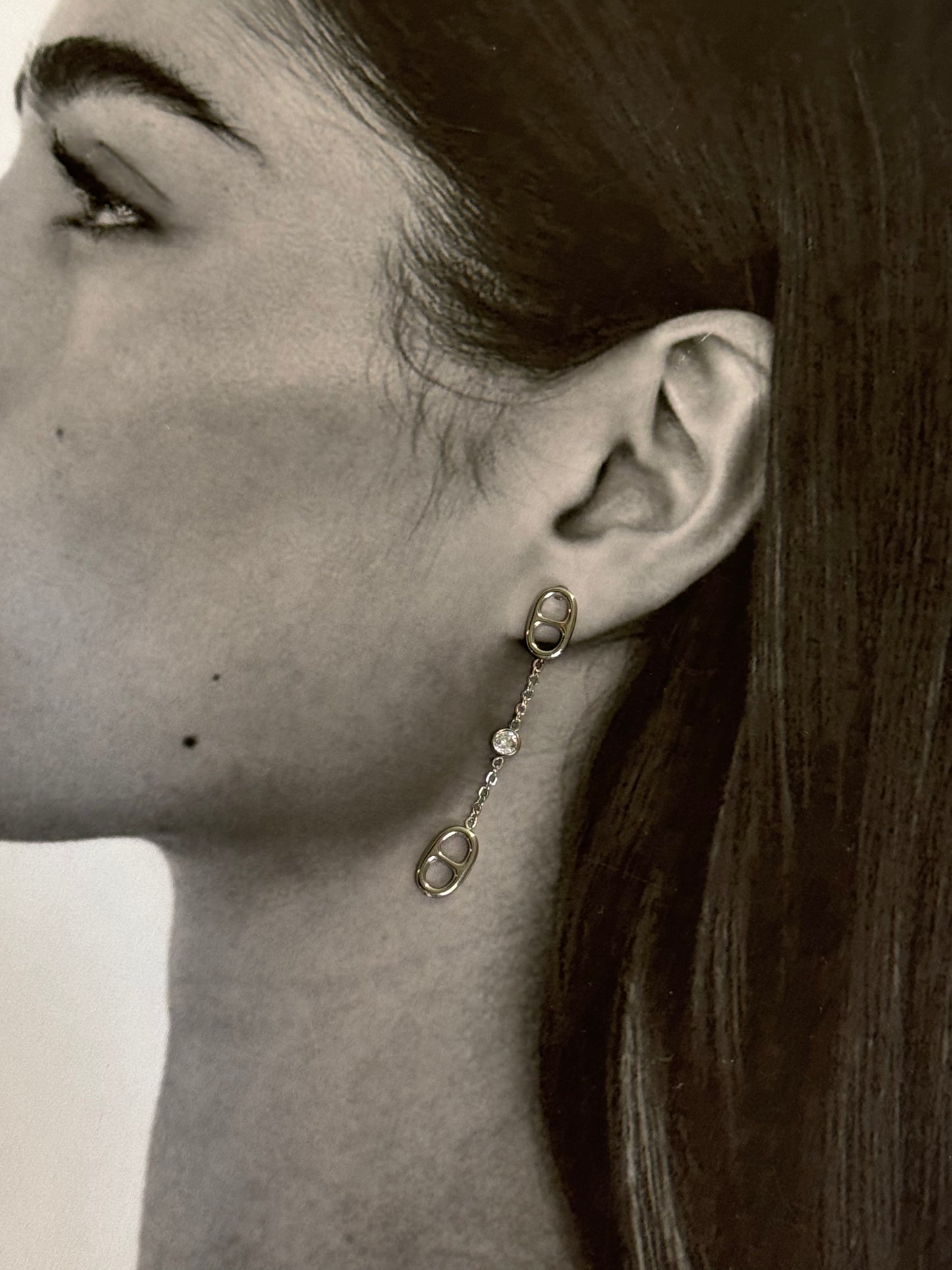 Celestial Shine - ατσάλινα σκουλαρίκια