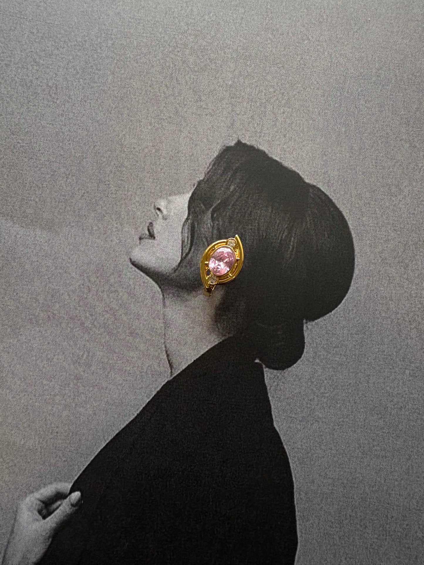Velvet Rose Earrings - Ατσάλινα Κρικάκια