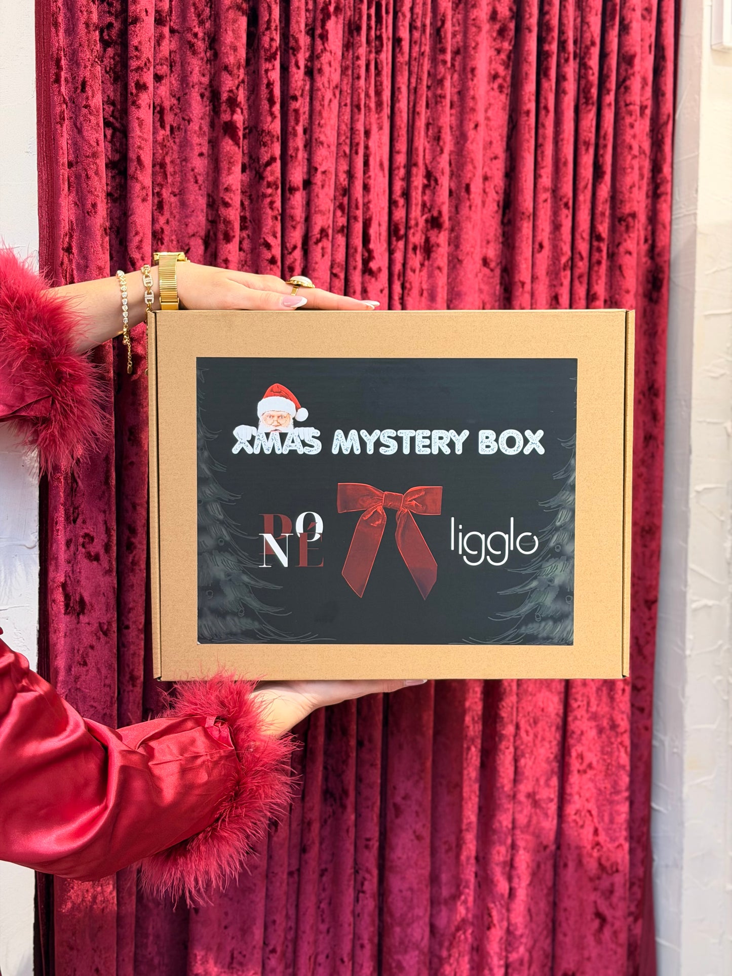 XMAS MYSTERY LIGGLO X PNOE