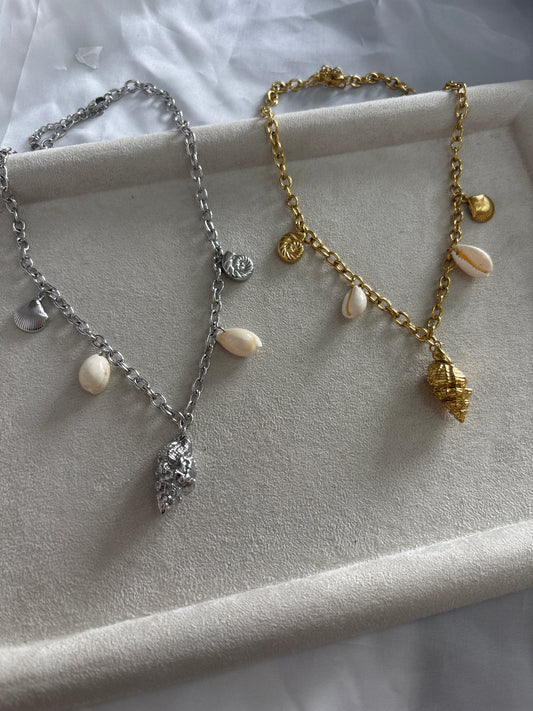 Shell charms