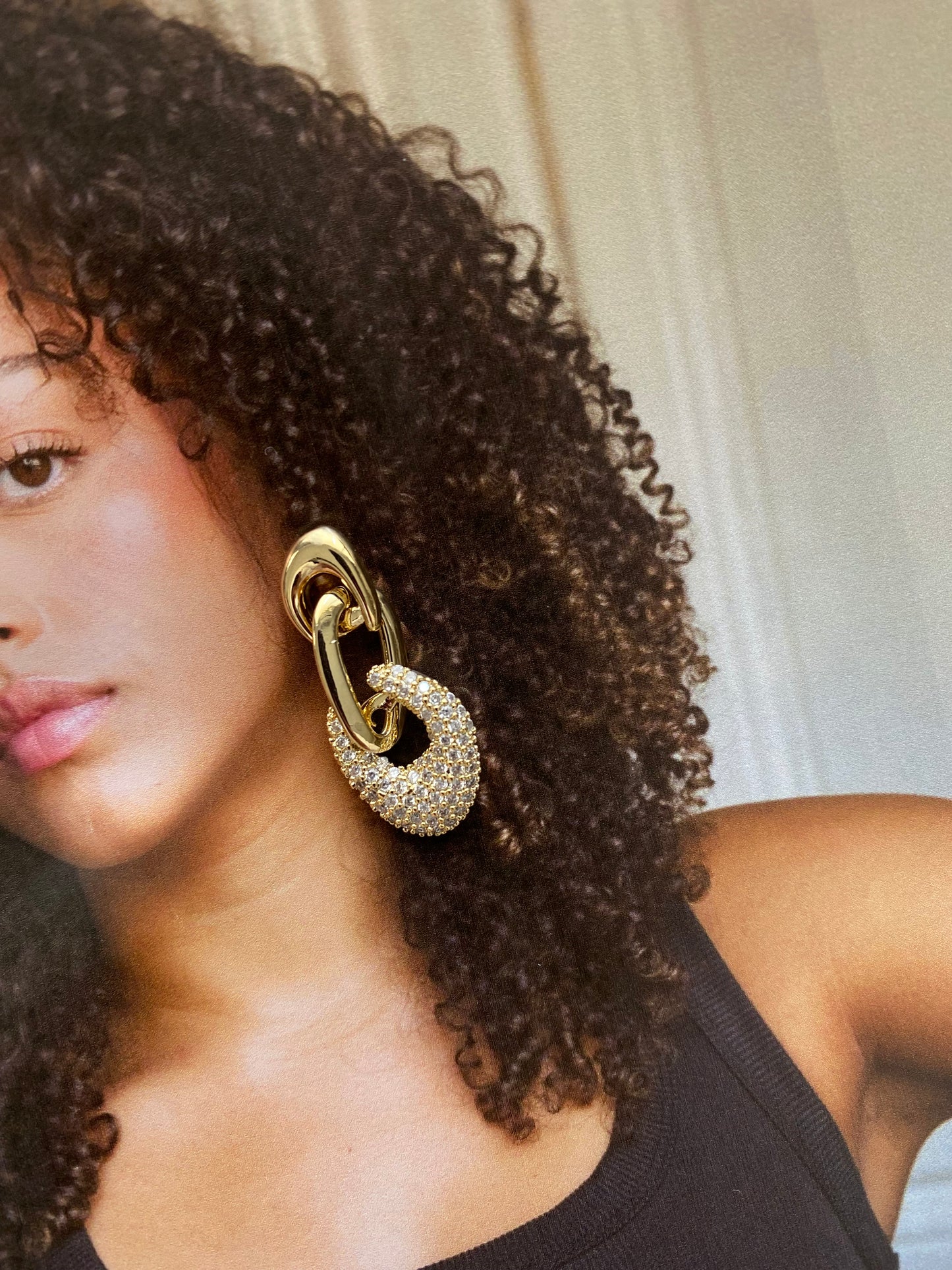 Sparkle Link Earrings- Stainless Steel