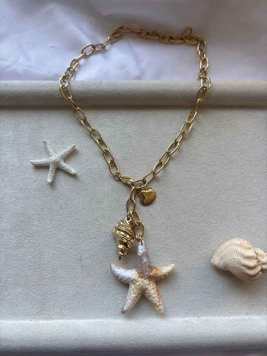“Ocean Royalty”