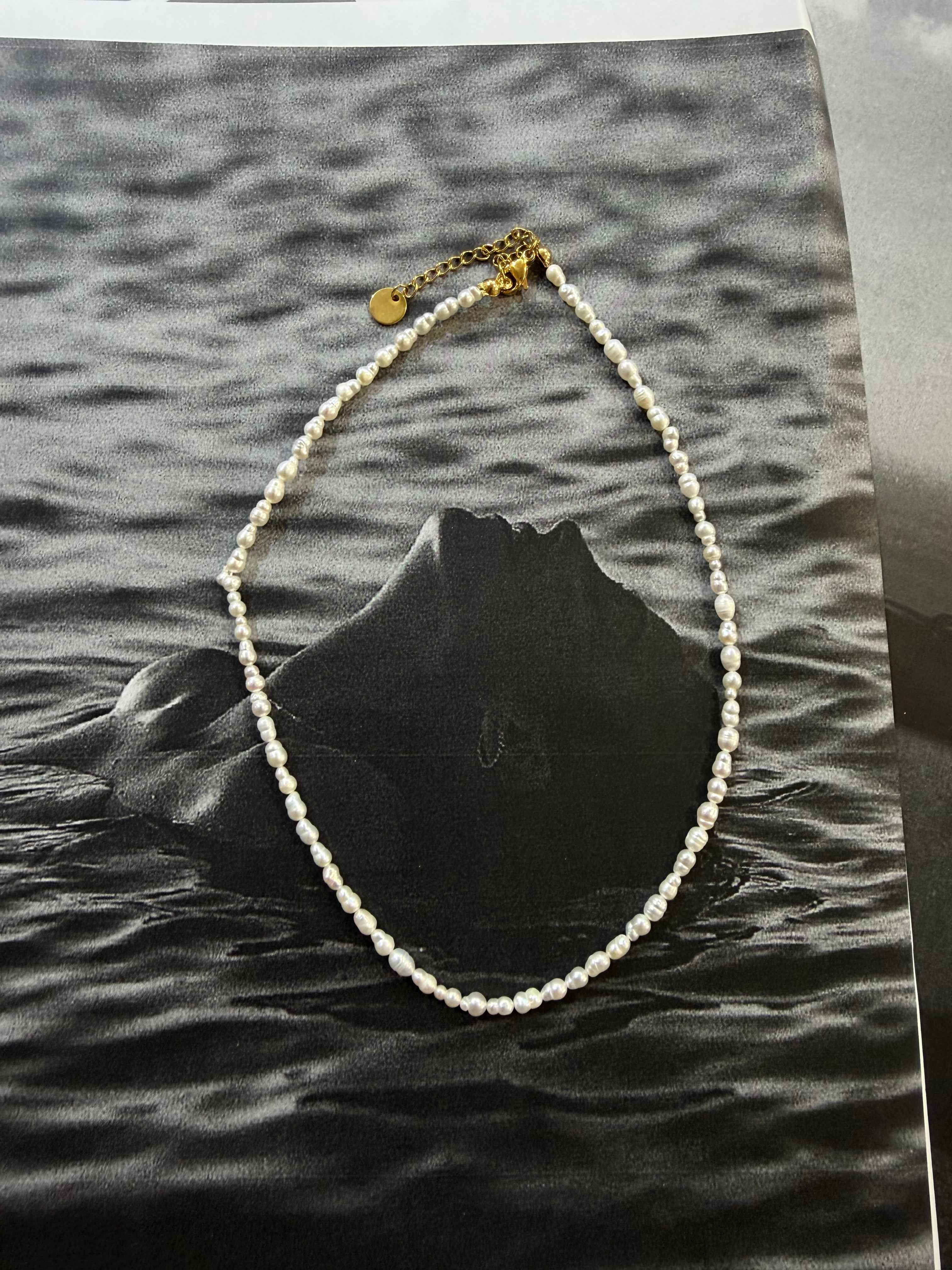 Pearl Mist 🤍
Αληθινά μαργαριτάρια ατσάλινο κολιέ ✨