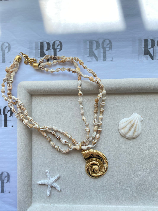 DUNE FOSSIL