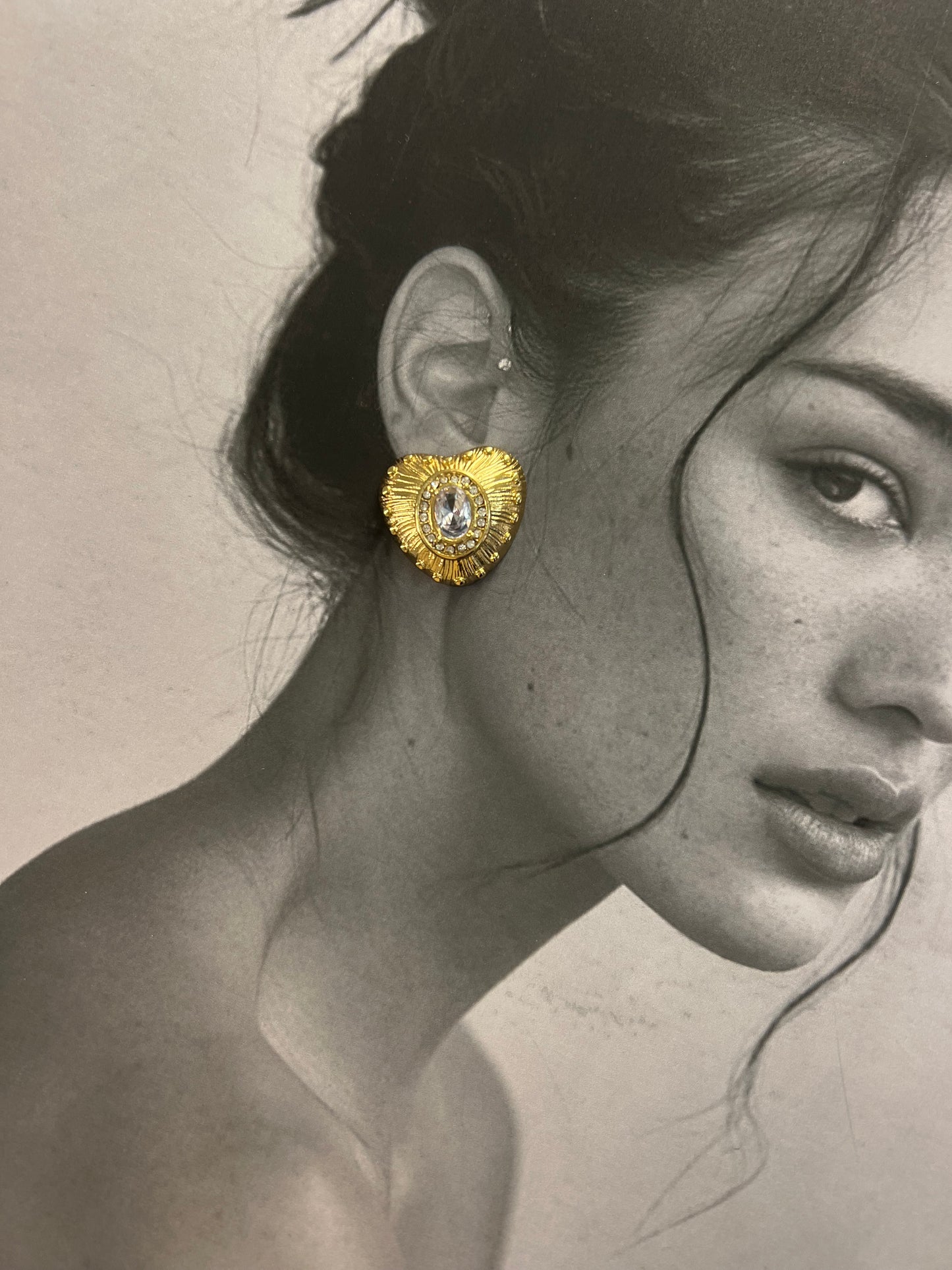 Coeur de Lumière – σκουλαρίκια stainless steel