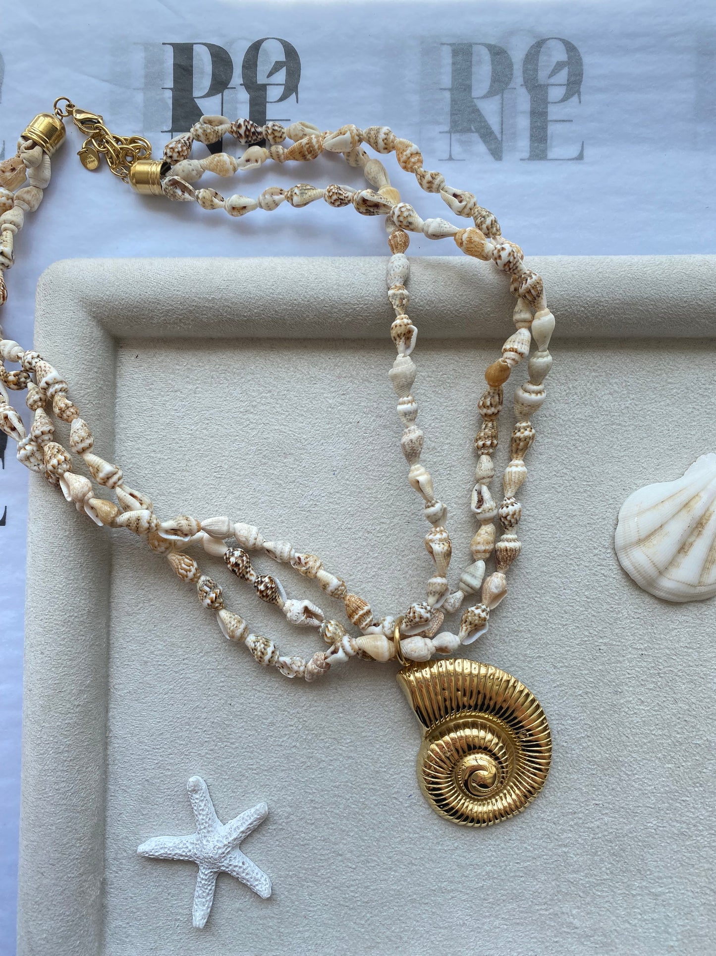 DUNE FOSSIL