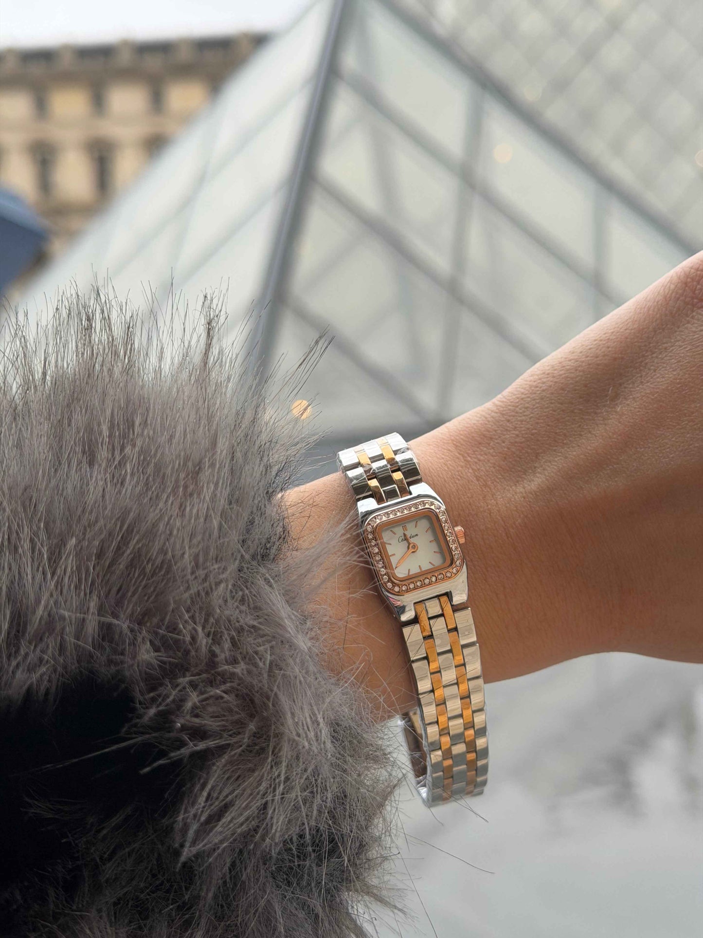 Paris Lumière Αδιάβροχο Ρολόι Premium - stainless steel