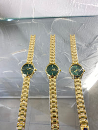Aria steel gold watch