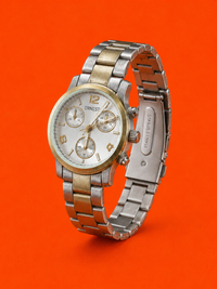 Titan Two-Tone – Ανδρικό Ρολόι Stainless Steel