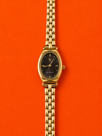 Aura Brun – Ρολόι Stainless Steel