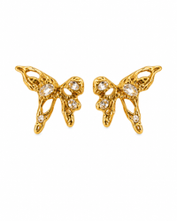 Butterfly Zircon – Σκουλαρίκια stainless steel