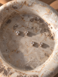 Florence crystal – stainless steel σκουλαρίκια