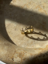Regina Crown – stainless steel δαχτυλίδι