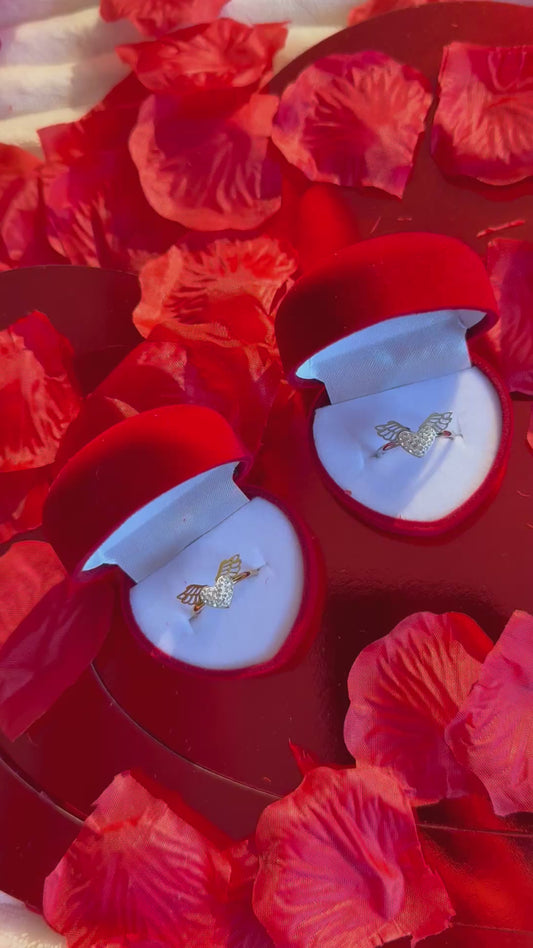 Cupid’s Wings – δαχτυλίδι stainless steel